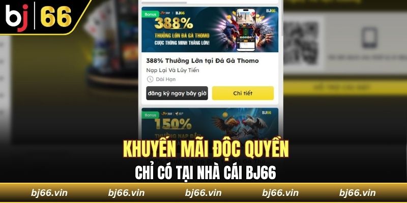 Khuyến mãi độc quyền chỉ có tại nhà cái Bj66